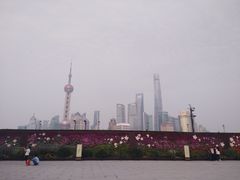 -小杨生煎(黄河路店)