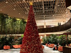 -北京望京凯悦酒店The Lounge大堂酒廊