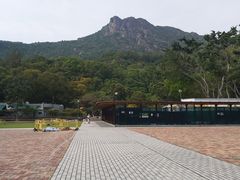 -狮子山郊野公园