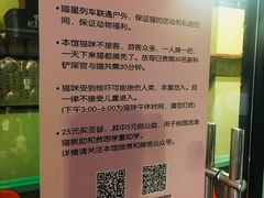 游乐设施-猫咪博物馆(顶澳仔猫街店)