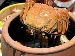 -金龙·打边炉(南京西路店)