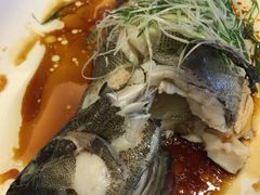 -春满园·早茶·粤菜·宴会(前海店)