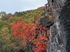 -塔云山