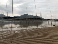 -北岐滩涂