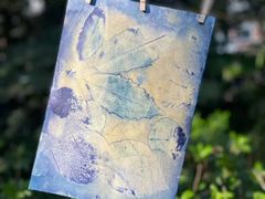 -向日葵艺术中心美术(虹桥南丰城校区)