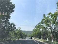 -晓峰手工擀面皮(新民街总店)