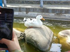-莲湖公园