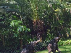 -三亚湾海居铂尔曼度假酒店