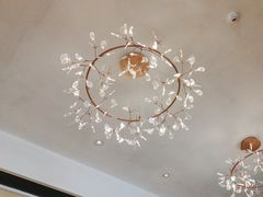 -侨美·唐荔园·40年地道粤菜