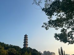 -江心屿景区