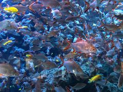 -成都浩海立方海洋公园