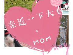 -前小桔亲子创意农场·草莓采摘·露营烧烤