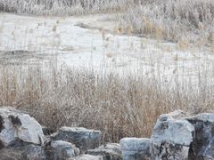 -马家湾湿地公园