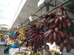 -南沙十九涌渔人码头-南门