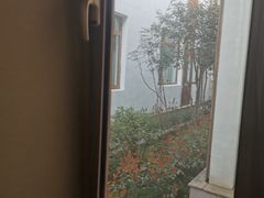 -九华山聚龙大酒店