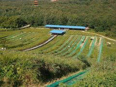 -南戴河国际娱乐中心