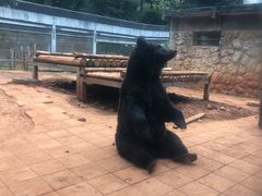 -昆明动物园