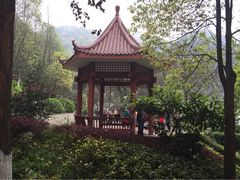 iphone_upload_pic-黄葛古道