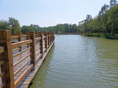 -大湾区中央湿地公园