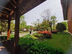 -思念果岭悦温泉