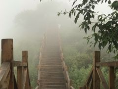 -大岭沟猕猴桃谷风景区