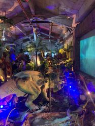 -恐龙探索乐园(磁器口店)