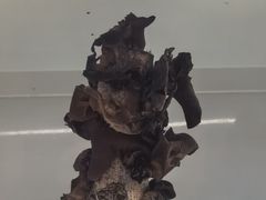 -番食园鲜食火锅(高新店)