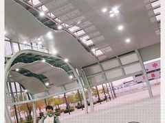-深圳坪山站