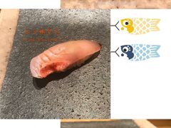 鲷鱼-橼舍鮨青木