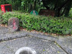 -上海佘山国家森林公园天马山园