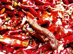 -拈一筷子·宜宾江湖菜(十一街店)