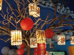 -烟台海昌鲸鲨海洋公园