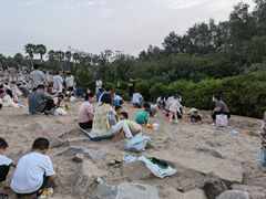 -宝安西湾红树林湿地公园