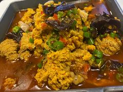 -新蜀会四川豆花(五羊店)