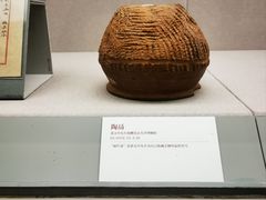 -北京大学赛克勒考古与艺术博物馆