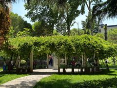 -西安市纺织公园
