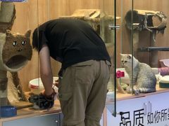 -米卢宠物公园(广华居店)