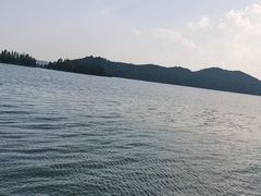 -东湖落雁景区