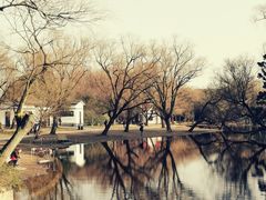 -上海共青森林公园