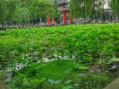 -四川大学(华西校区)