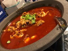 石锅牛蛙-虎虎龙虾大排档(双井店)