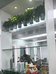 -迪罗造型•潮色接发