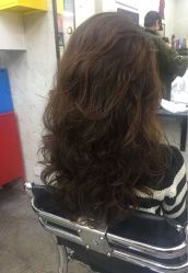 -SALON V