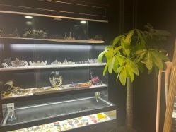 -鼎极摄影(世纪金源店)