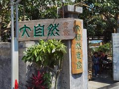 -大自然素食(望桐路店)
