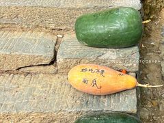 -阳产土楼
