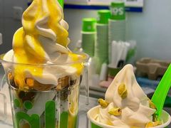 -Salud撒露欧洲冻酸奶(蓝色港湾店)