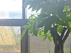 -洛阳宴·洛阳菜(南昌路店)