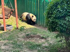 -大连森林动物园