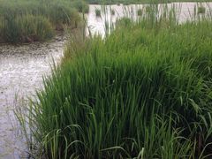 -泸沽湖国家级风景名胜区走婚桥